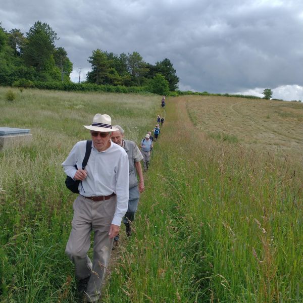 long line of walkers through grass, dark clouds